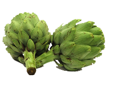 artichoke