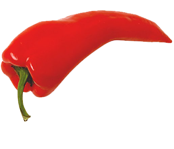 hot pepper