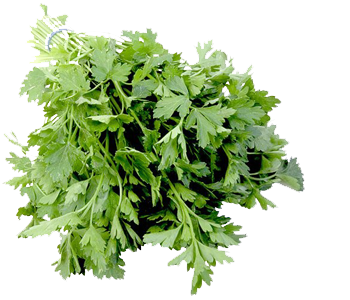 parsley